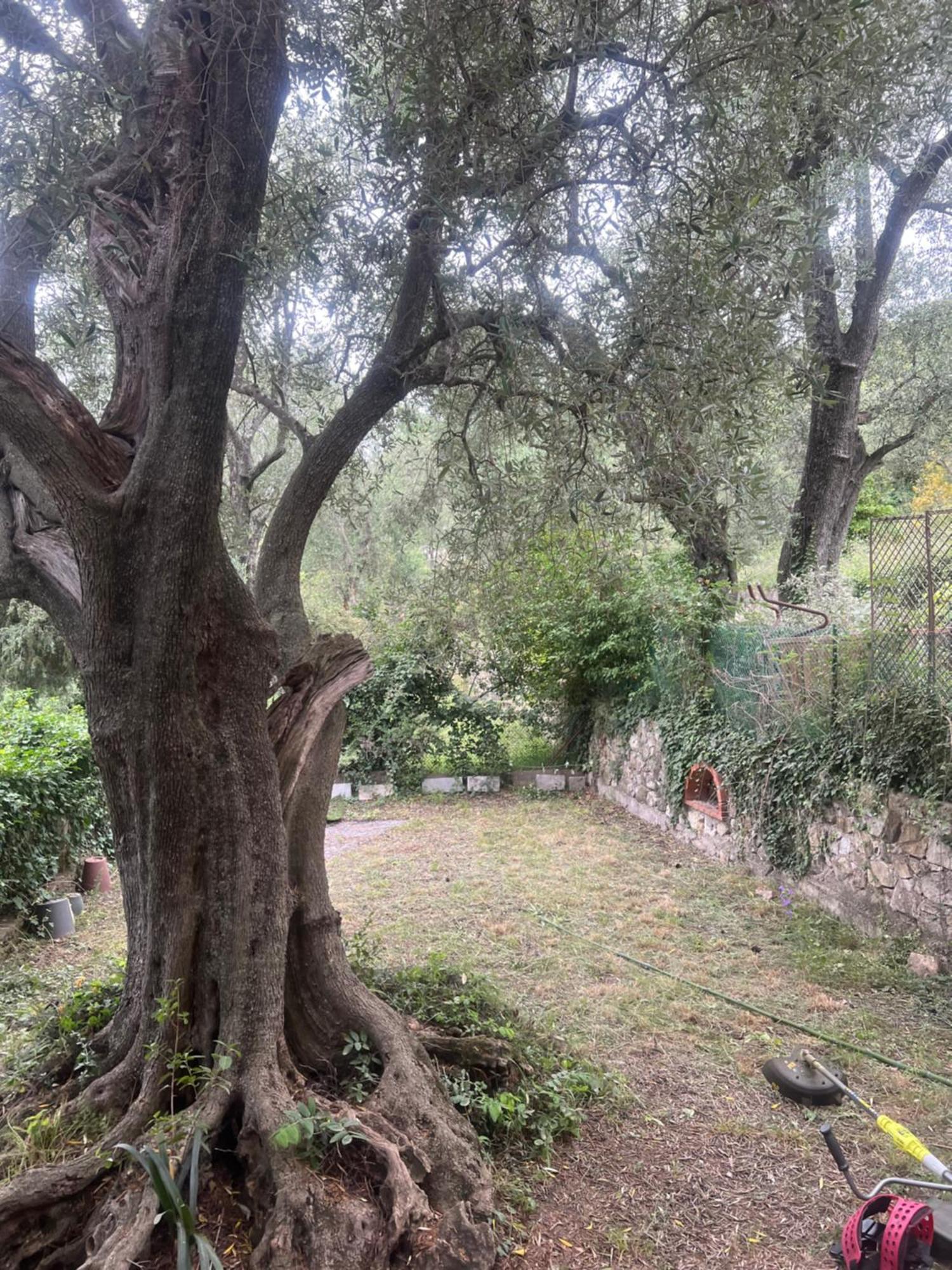 Bas De Villa Vue Mer Eze Village Екстериор снимка